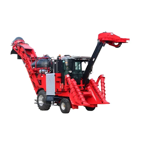 Cane combine harvester fitted with a folding arm conveyor for cane transfer