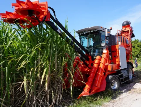 Self-propelled 360 HP sugarcane combine harvester for high power cane cutting